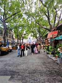 A Delightful Day in Shanghai: Xintiandi Charm & Michelin-Worthy Xiao Long Bao!