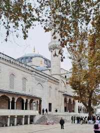 The Majestic Blue Mosque in Istanbul