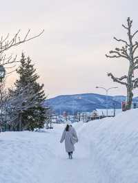 【北海道/小樽】冬に行きたくなる雪の絶景観光地☃️