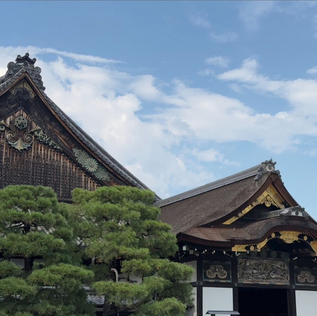  二條城（Nijo Castle）：京都的歷史瑰寶