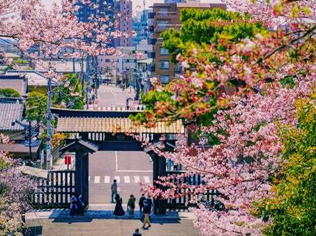 東京🇯🇵本門寺