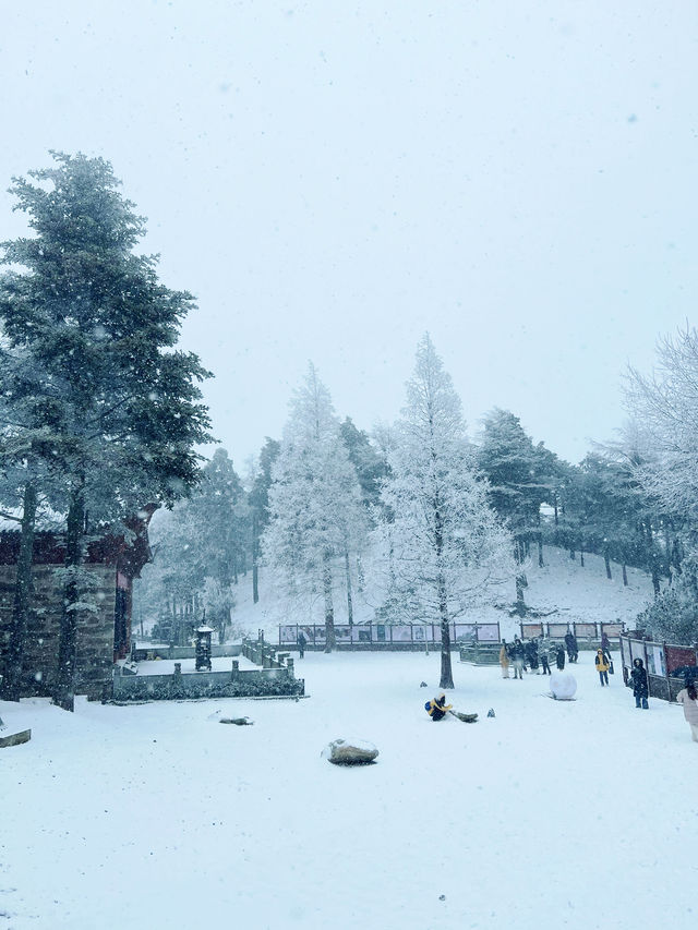 廬山雪景|這個冬天我們一起相約廬山看雪景