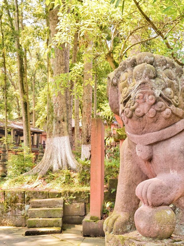 探訪瀘州法王寺，品味皇家寺廟韻味