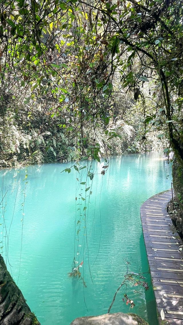 遊賞自然山水美景，見識無限奇景坐龍峽