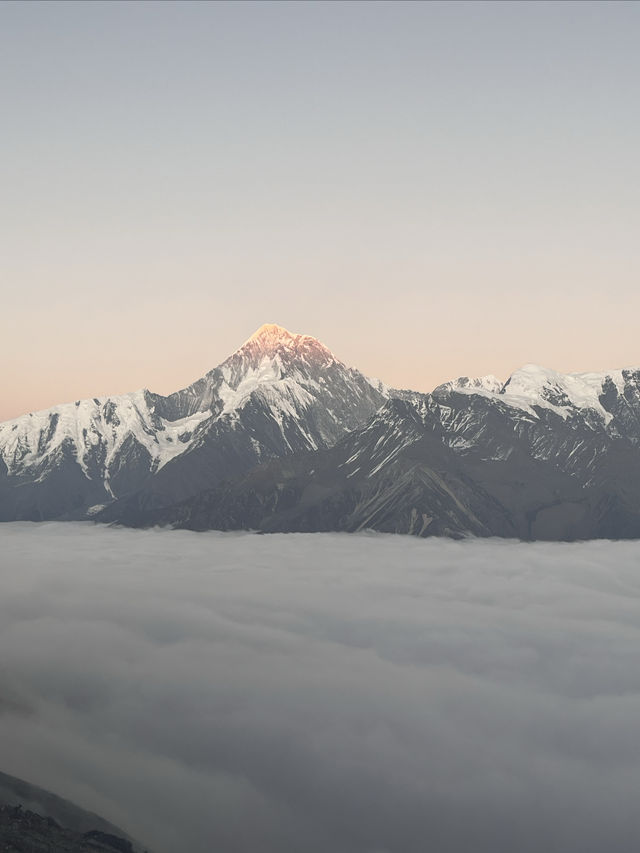 逃離浪浪山—拉薩至成都