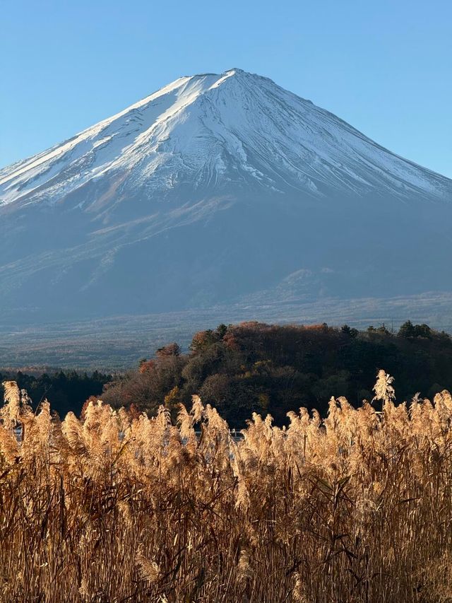 剛從富士山回來，真的很值得一去！