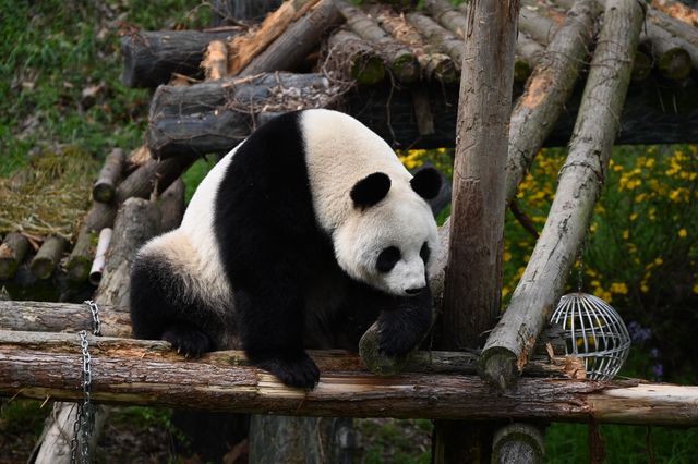 南京紅山森林動物園