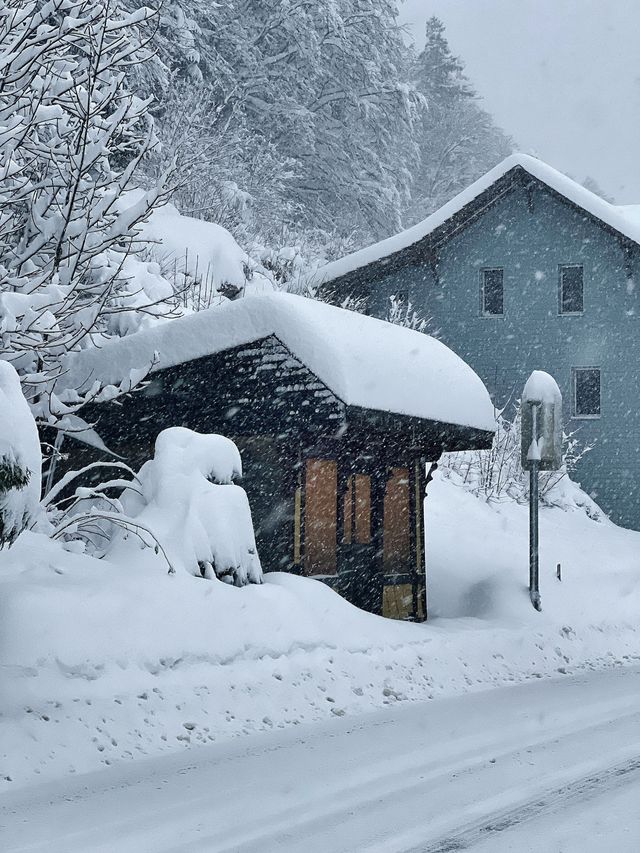 瑞士少女峰格林德瓦 First 滑雪