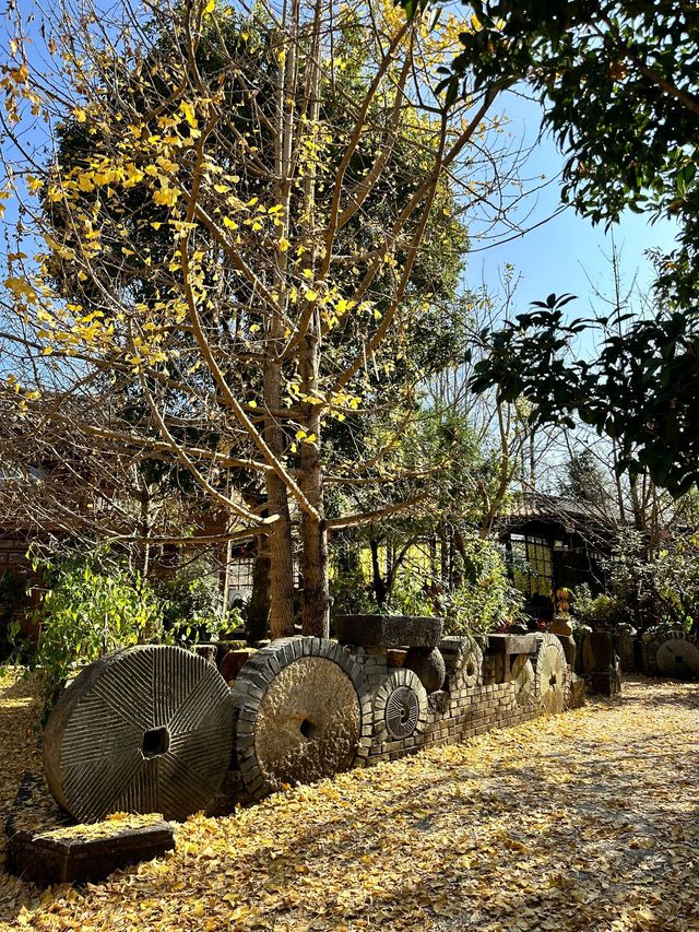 騰衝-瑞麗-芒市：解鎖溫泉之旅享受愜意時光