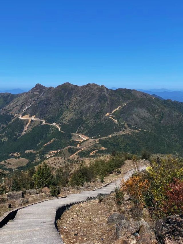 想體驗不一樣的旅行嗎？來大芹山吧！