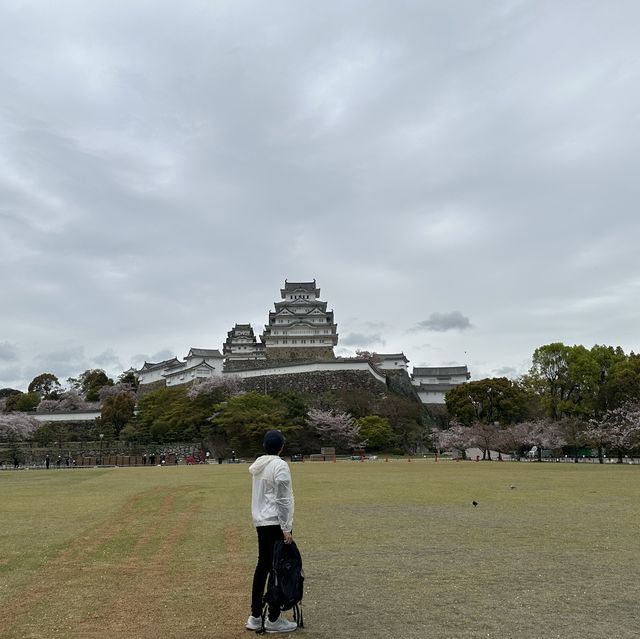 One of most beautiful castles in Japan!! 