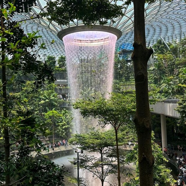 Changi Airport:  Ultimate Travel Experience🌟🇸🇬"