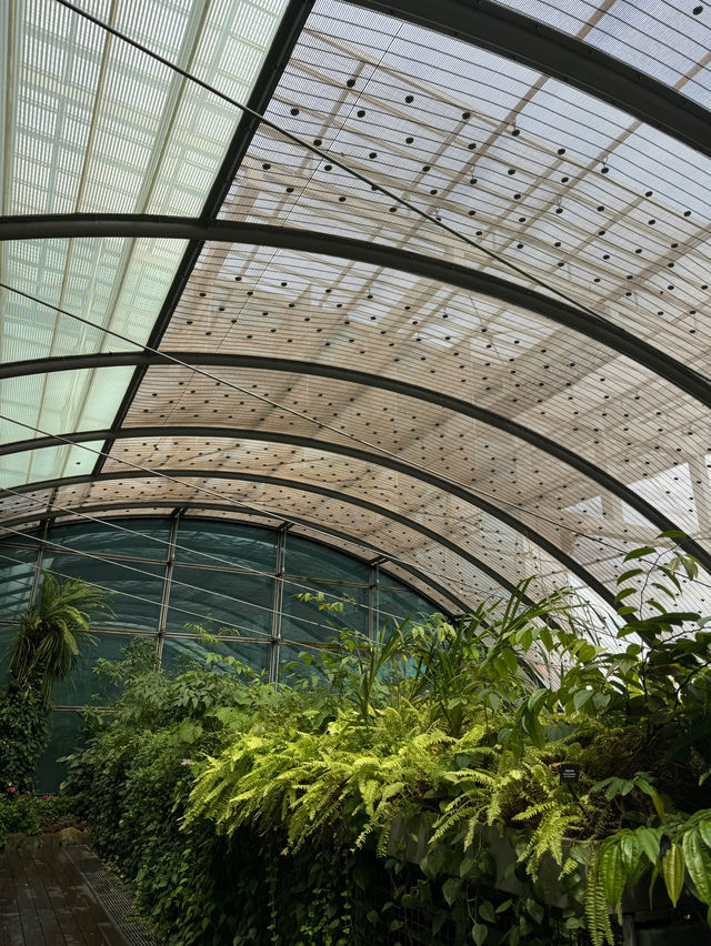 🇸🇬Do you know there’s a butterfly garden in Changi Airport?