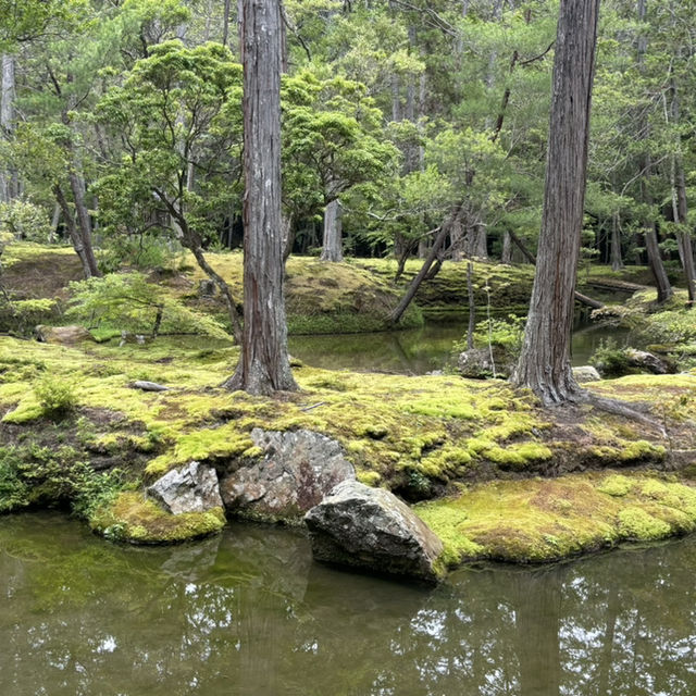 【苔寺】千年歷史，1-1.5小時遊覽