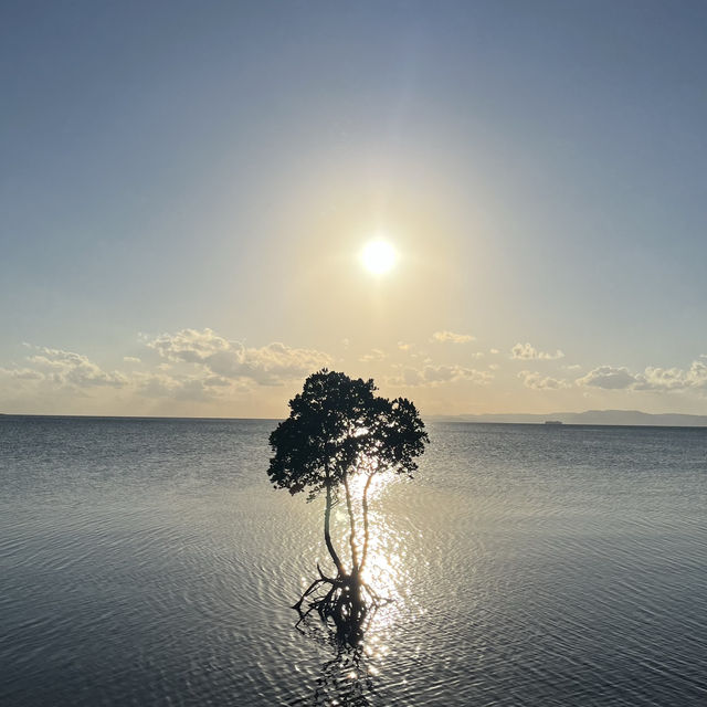 【石垣島夕陽編🌅】