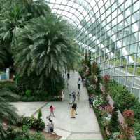 Gardens by the bay 🌹🌳