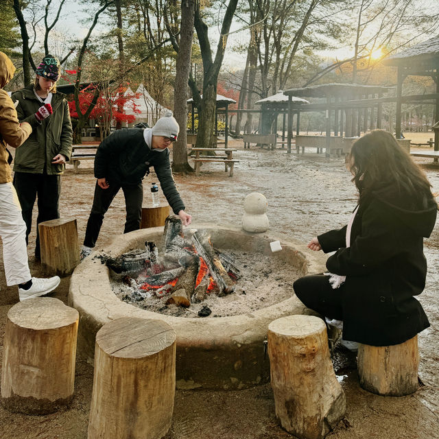 A Magical Autumn-cum-Winter Getaway to Nami Island!