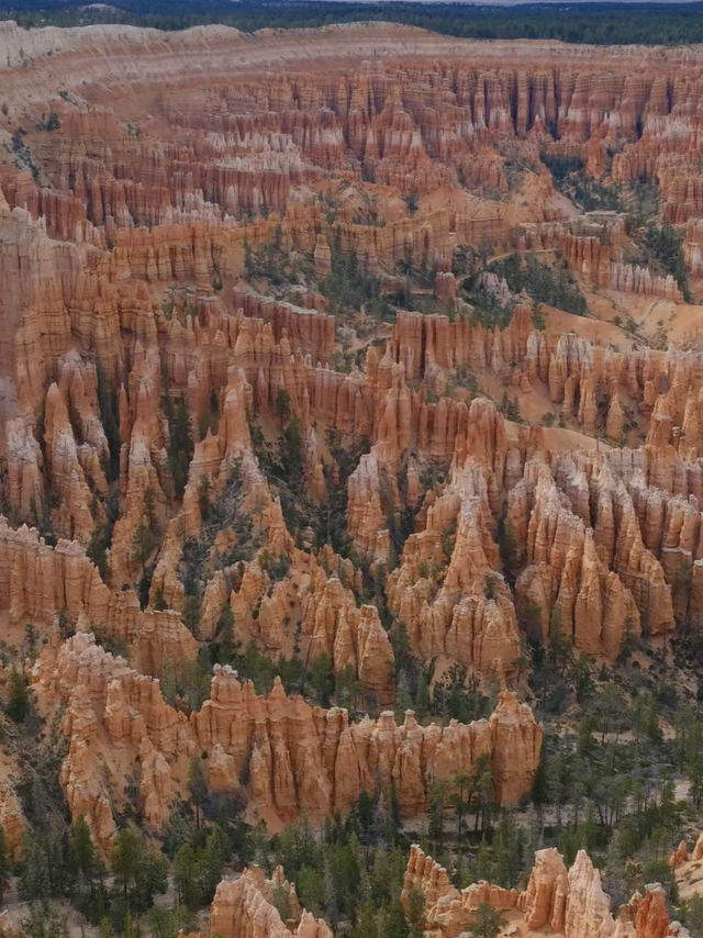 Hoodoo You Think You Are? A Bryce Canyon Adventure!