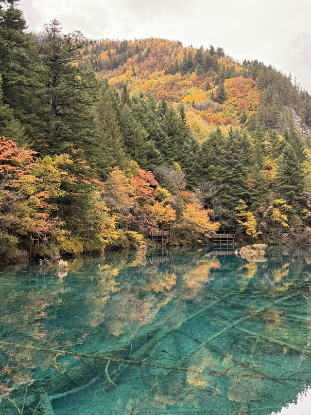 川西旅遊·人間仙境九寨溝