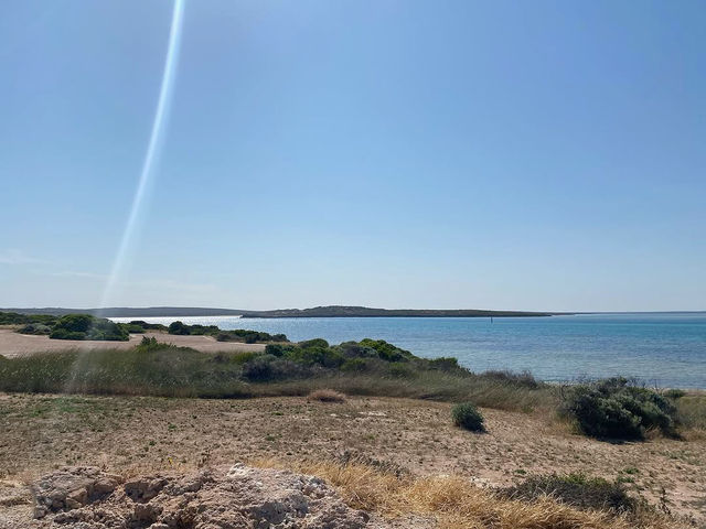 Venus Bay Caravan Park: A Beachfront Paradise on the Eyre Peninsula