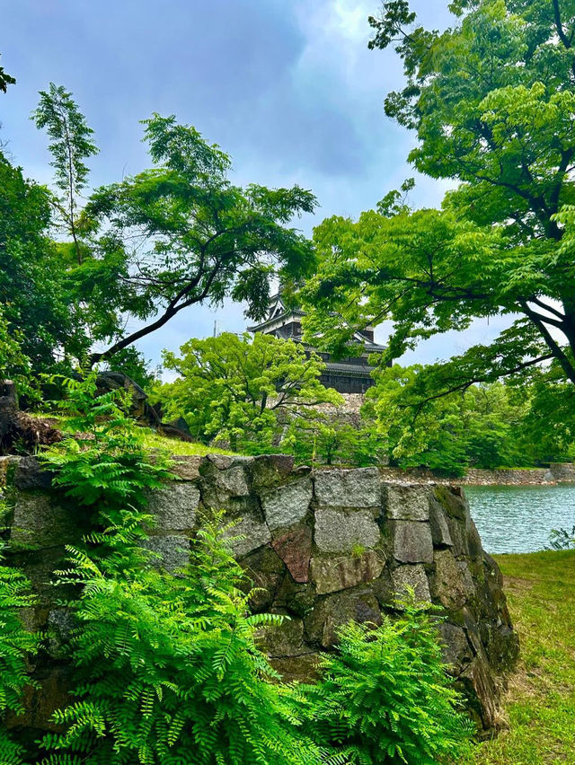 히로시마 성: 일본의 회복력과 역사의 상징 🏯