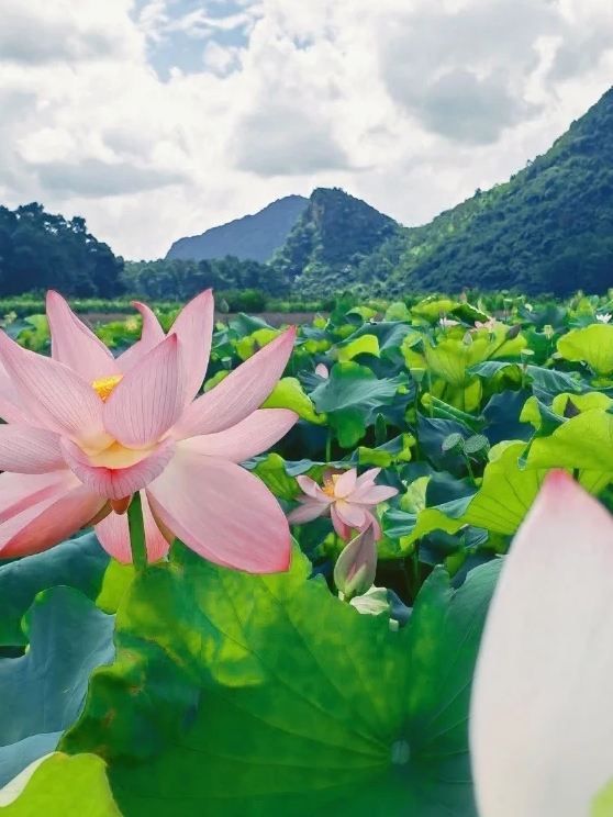 5天暢遊雲南昆明-建水-元陽超詳細攻略來襲。