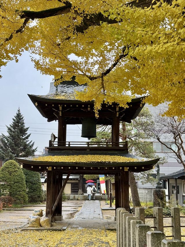 飛驒第一古剎一飛驒國分寺