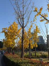 錢江世紀公園是杭州最寶藏的公園，絕無僅有！