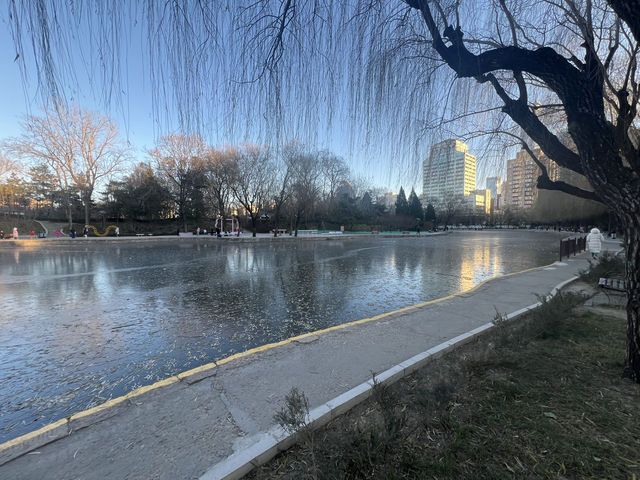 鬧中取靜的休閒之所，團結湖公園