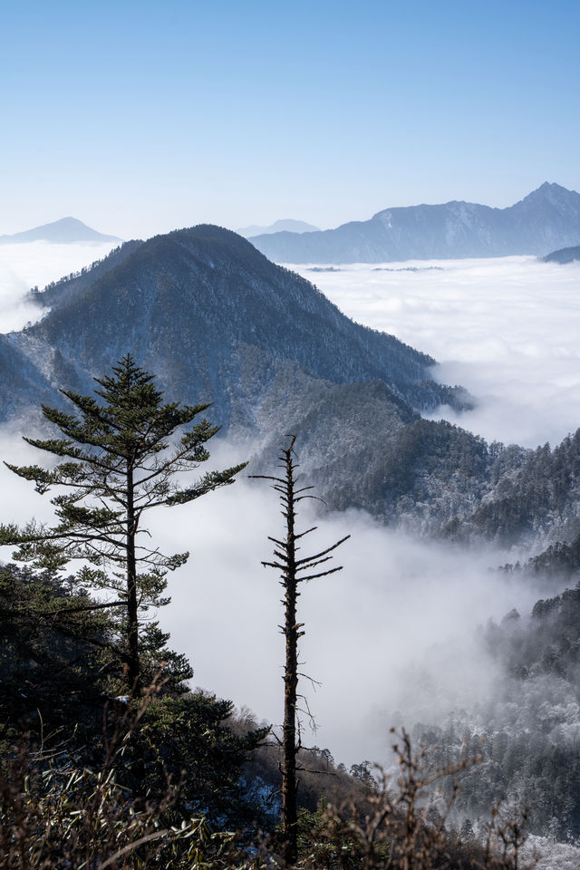 人回來了，心還留在西嶺雪山！太震撼了⋯⋯