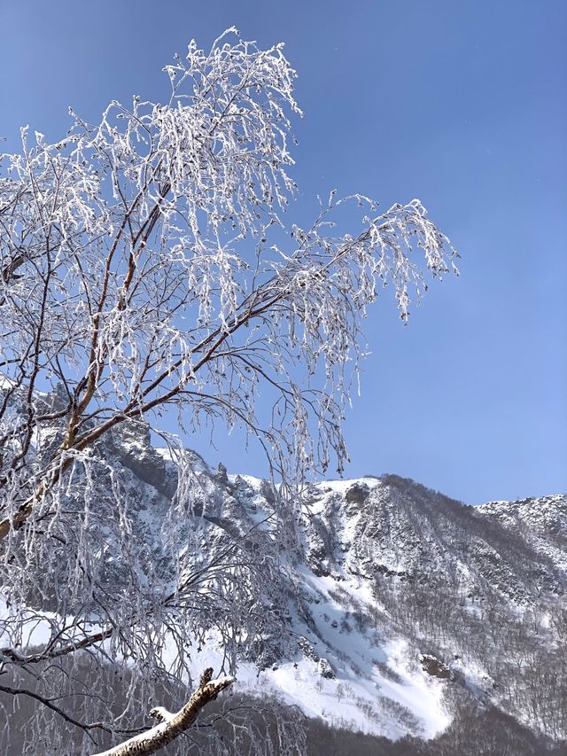 延邊3日遊 玩轉美景不回頭