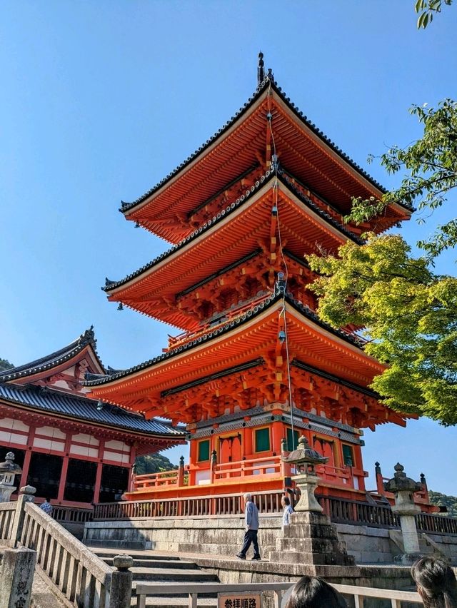 日本京都-來到京都必定造訪的人氣景點：清水寺