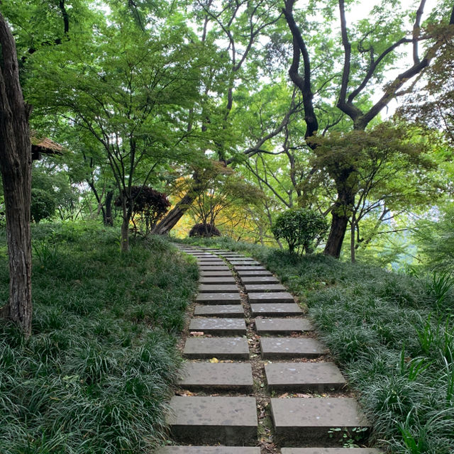 A magical land in Chengdu