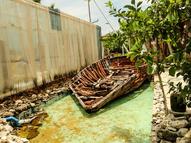 Chinese eco island