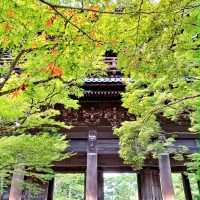 【京都】2024年秋厳選！京都紅葉スポット 南禅寺