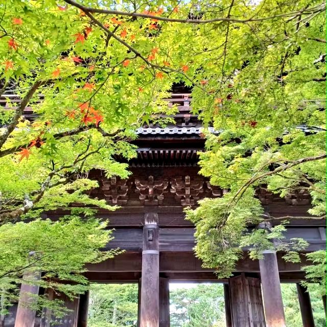 【京都】2024年秋厳選！京都紅葉スポット 南禅寺