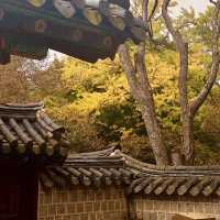 Visit to Hanok Village and Gyeonggijeon