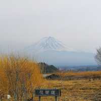 Facing Majesty: A Moment with Mount Fuji at Kawaguchiko