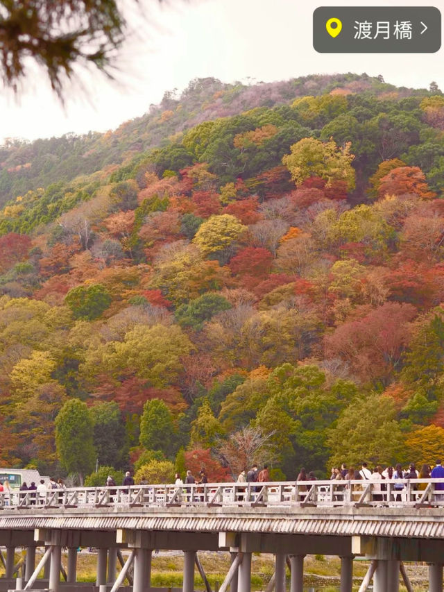 京都のオススメ紅葉スポット4選