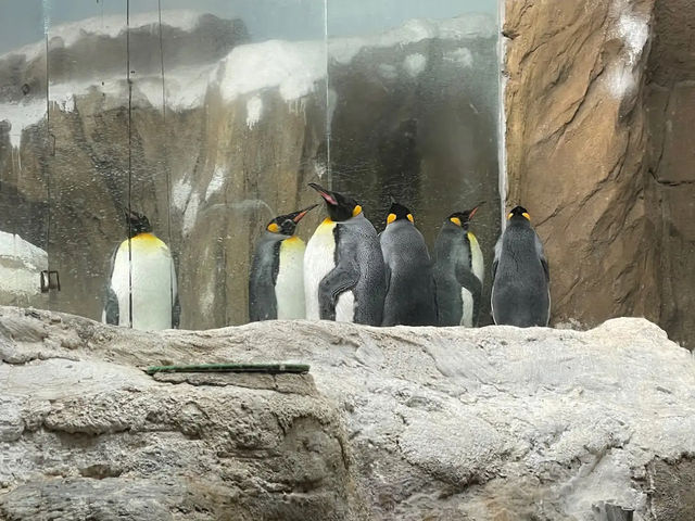  台北市立動物園：台灣最大且最具教育意義的生態樂園