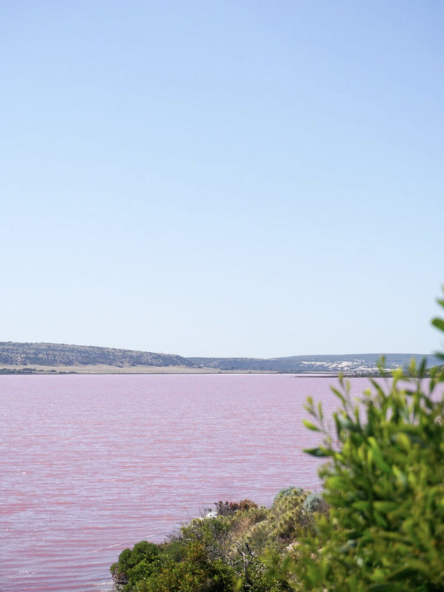 Pink Lake, Australia 