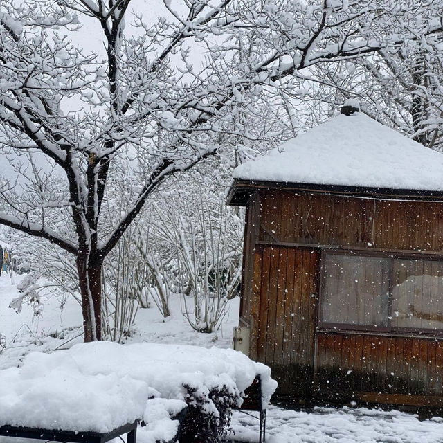 南湖公園：冬日仙境 ❄️🏞️