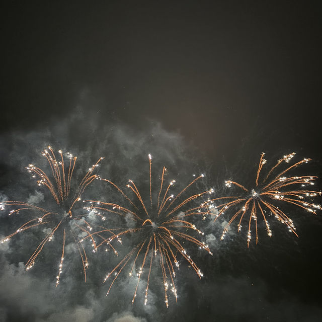 Fantastic fireworks display in Alexandra Palace Park