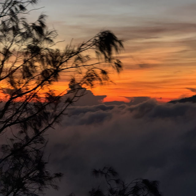 Do Ijen and Bromo crater worth to visit? 