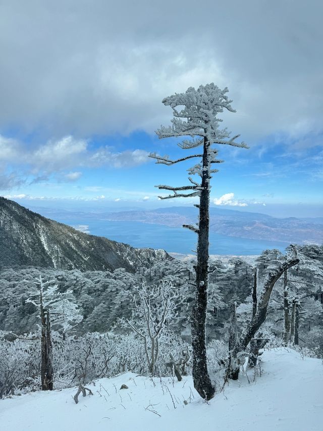 次看到蒼山雪了，感受到了生命的大自在