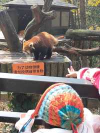 預算500 兩大一小雲南野生動物園親子遊攻略