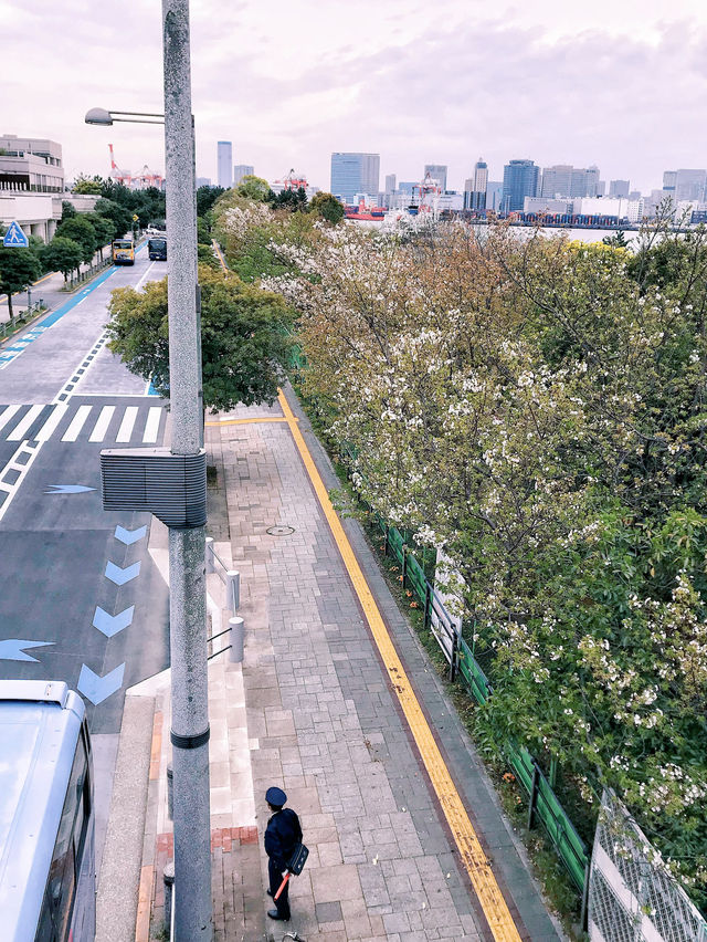 去公園吧！御台場之東京灣暢想曲