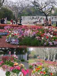 上海中山公園真是太美了！！