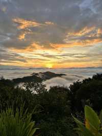 在景邁山，輕易收穫一場日出雲海。