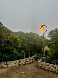 A Rainy Day at Victoria Peak Garden